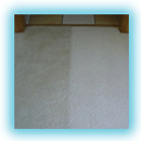 Carpet & Area Rug Cleaning