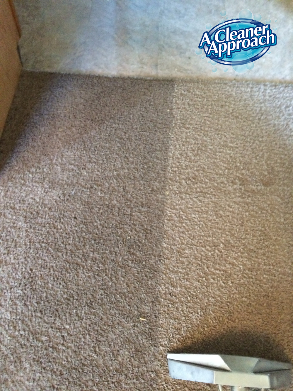 Carpet & Area Rug Cleaning 12