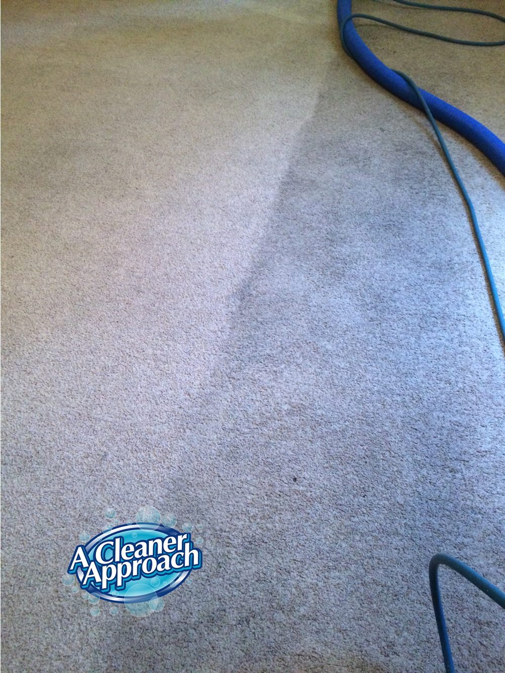 Carpet & Area Rug Cleaning 14