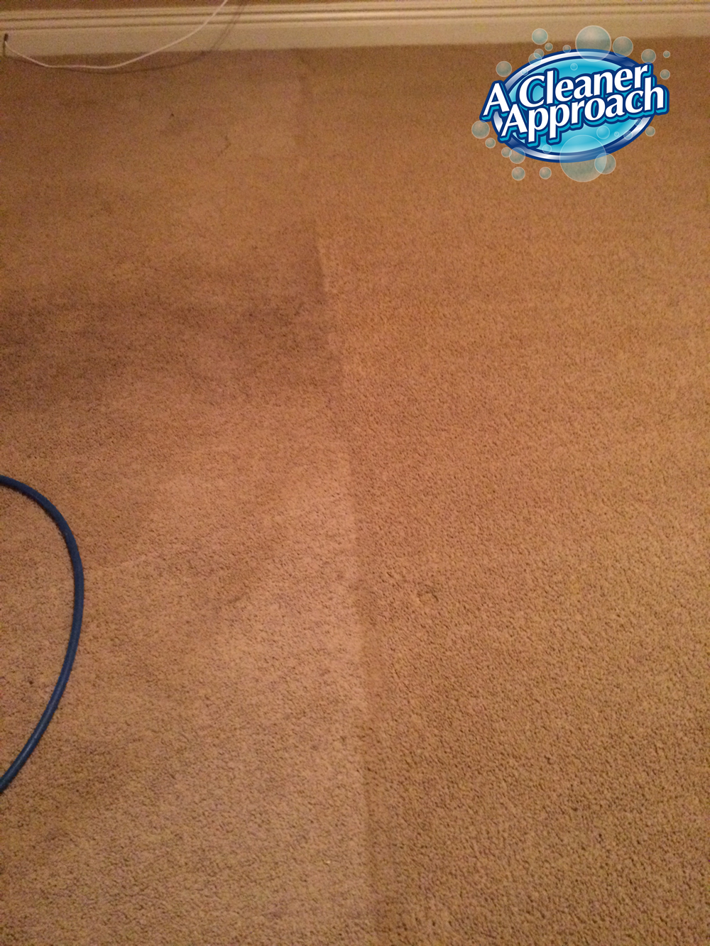 Carpet & Area Rug Cleaning 7