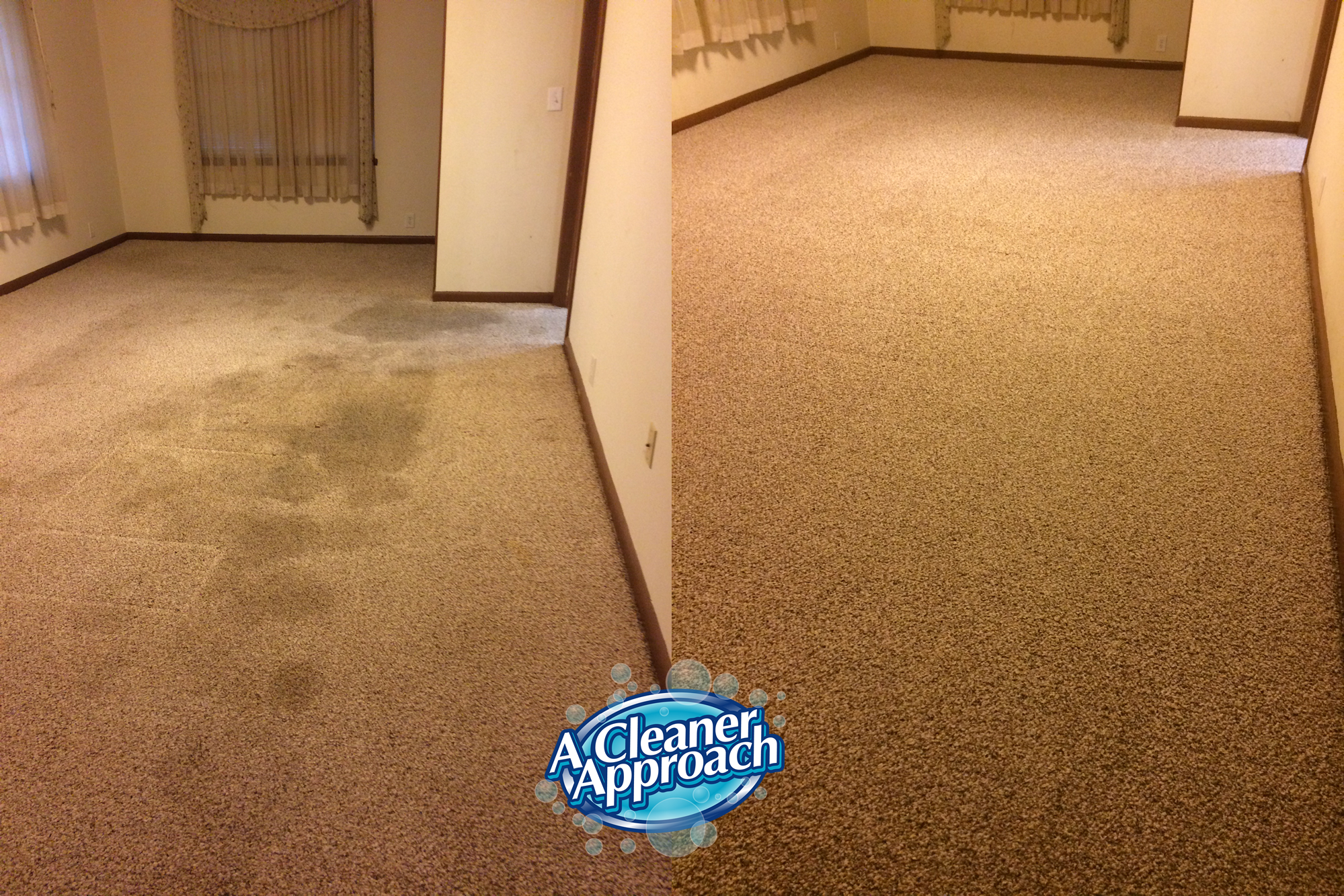Carpet & Area Rug Cleaning 1