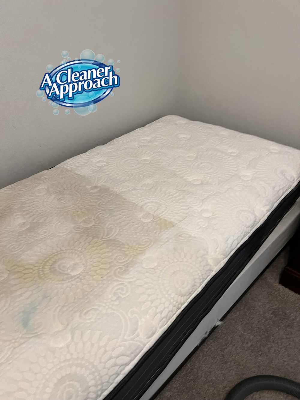 Upholstery Cleaning 1