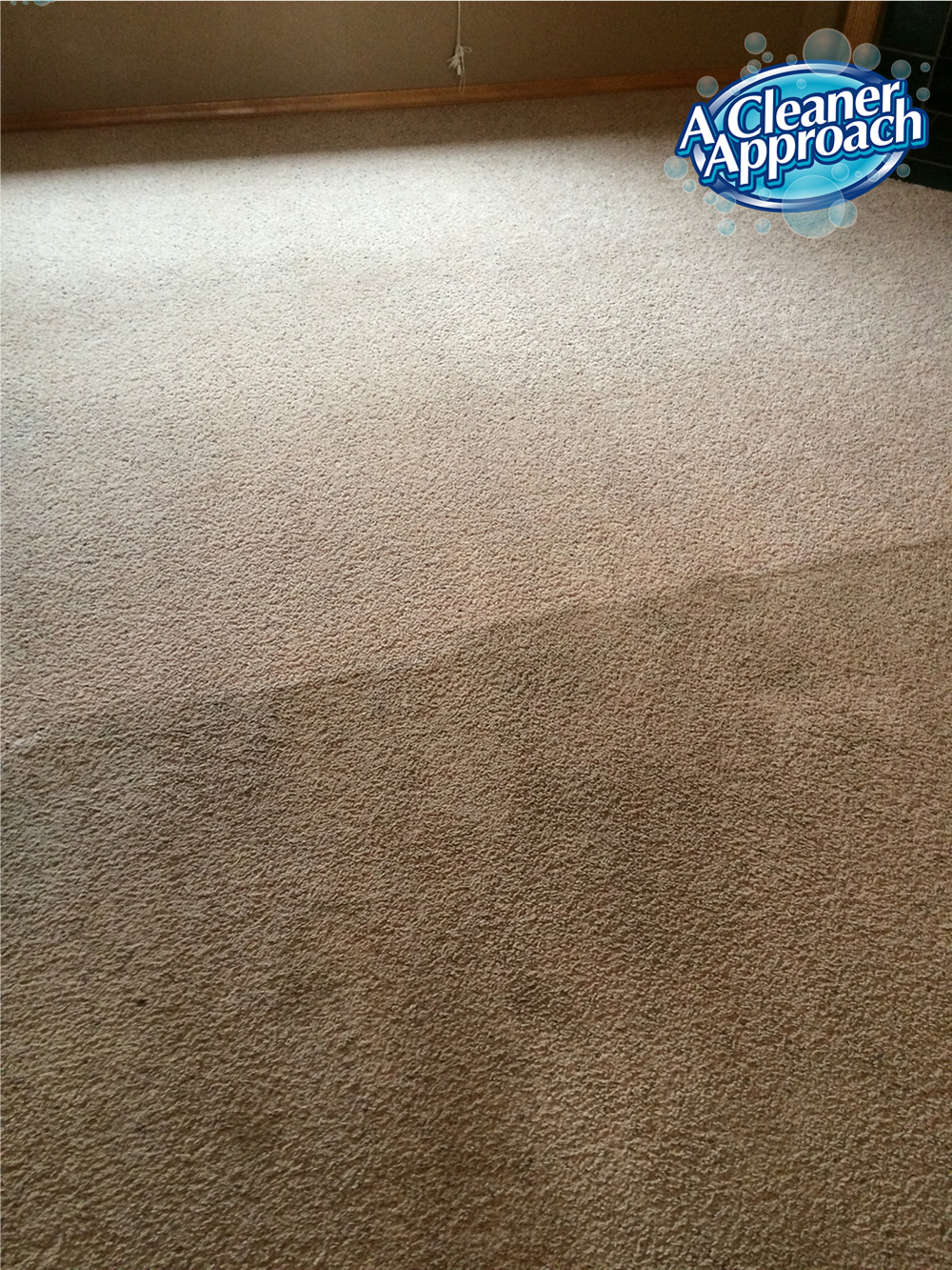 Carpet Cleaning example 1