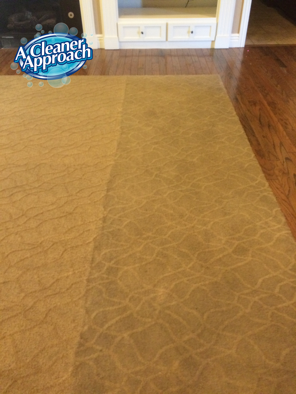 Carpet Cleaning example 6
