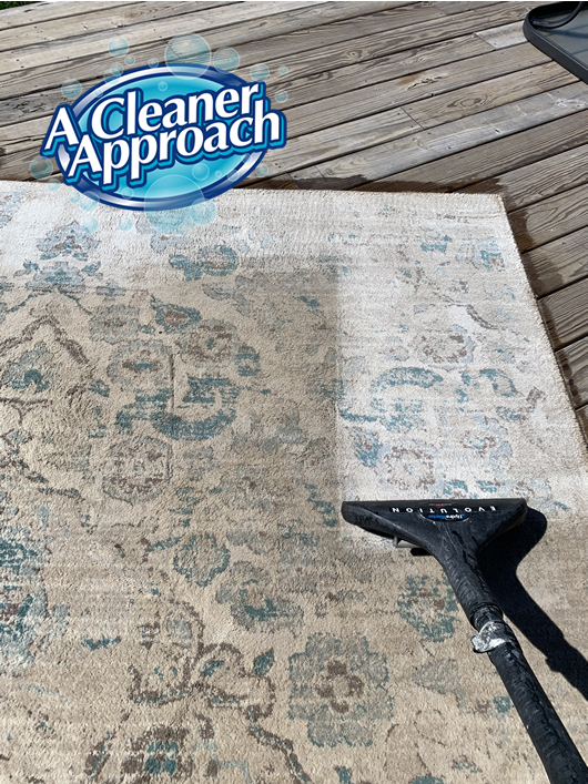 Area Rug Cleaning Example 1