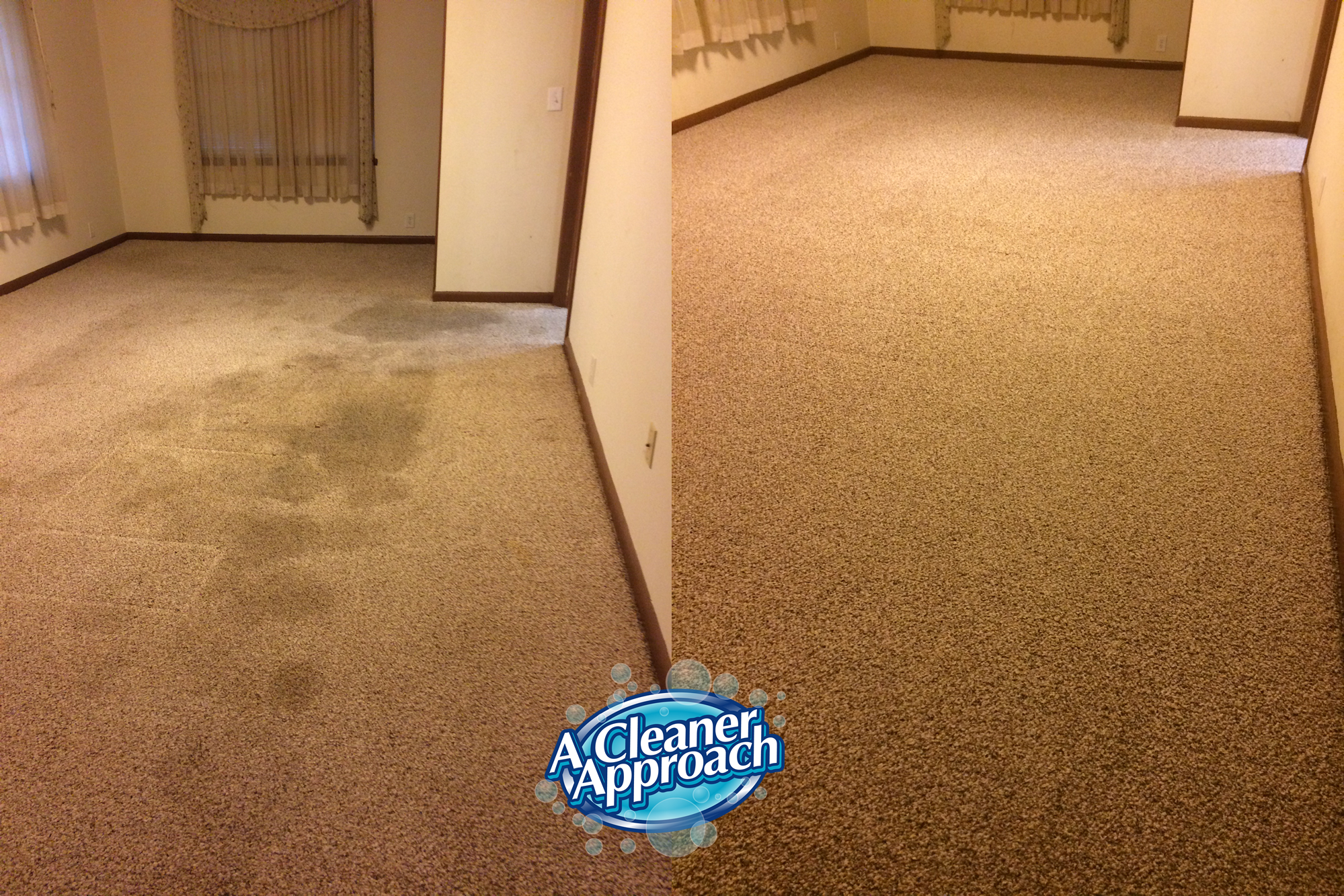 Carpet cleaning before and after 1