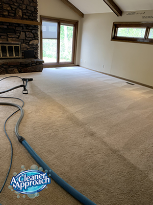 Carpet cleaning example 1