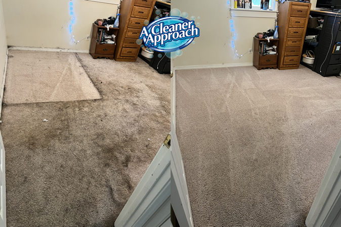 Carpet cleaning before and after 2